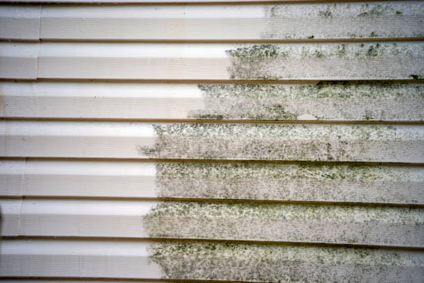Best Aluminum Siding Installation  in Lynnwood, WA