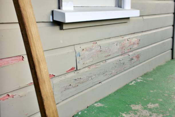 Best Steel Siding Installation  in Lynnwood, WA